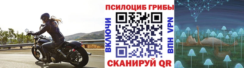 Псилоцибиновые грибы Cubensis  кракен зеркало  Баймак 